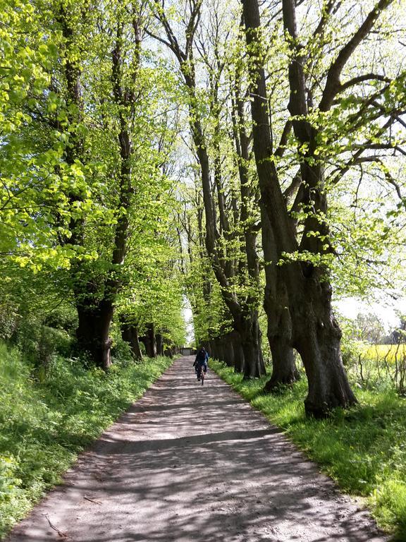 Ferienwohnungen Ruegen Findling Breege Kültér fotó